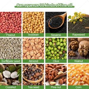 Presse à huile de haute qualité pour mini citronnelle, cacahuètes et graines de prickly, 165 vis, prix de vente - Product Image 6