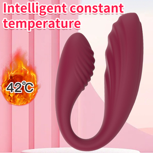 Nuevo estilo App Control remoto Usable Vibrador Masaje 11 Conversión de frecuencia Vibración Caja de juguetes sexuales para mujeres - Product Image 5