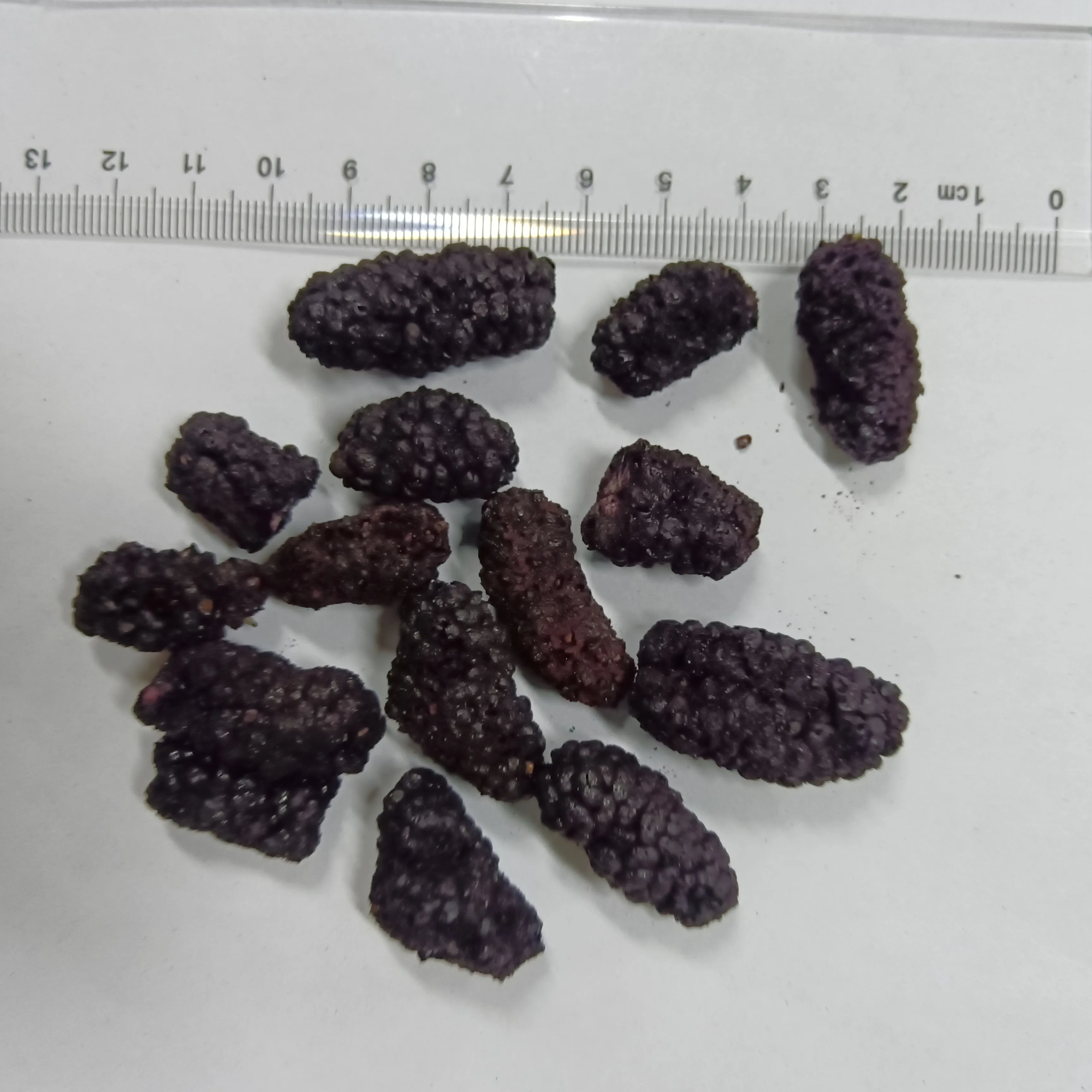 Guoyue Großhandel gefrier getrocknet Mulberry gesunde Ernährung saure süße Snacks Duft knusprige ganze gefrier getrocknete Früchte