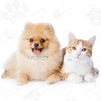 Collier pour chien en perles de luxe, collier pour chat avec strass, collier de mariage pour chat design