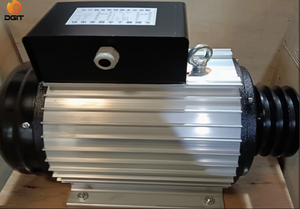 เครื่องกำเนิดไฟฟ้าแบบขับเคลื่อนด้วยสายพาน 5kw 8kw 10kw 20kw 50kw 30kw  220v 380v สำหรับเครื่องกำเนิดไฟฟ้าพลังน้ำ เครื่องกำเนิดไฟฟ้าพลังลม DG9992 380v Gen - Product Image 6