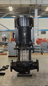 LKS Vertical Inline <b>Water</b> <b>Pump</b> and Booster <b>Pump</b> for Industry <b>Water</b> Supply - Product Image 2