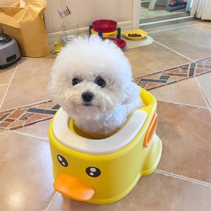 Bañera <span class=keywords><strong>para</strong></span> <span class=keywords><strong>Perros</strong></span>, Cubeta de Baño Medicinal Específica <span class=keywords><strong>para</strong></span> Cachorros, Herramienta de Aseo <span class=keywords><strong>para</strong></span> <span class=keywords><strong>Perros</strong></span> Pequeños - Product Image 4