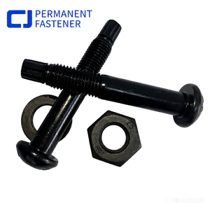 Hoge sterkte Tc bout M20 gelegeerd staal ronde kop graad 10.9 torsie-shear met zwarte oxide afwerking en ringen/moeren voor de bouw - Product Image 5