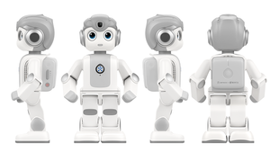 <span class=keywords><strong>Alpha</strong></span> <span class=keywords><strong>Mini</strong></span>, <span class=keywords><strong>Robot</strong></span> STEM de Alta Calidad con IA, Fabricante Profesional, Juguete Educativo Inteligente al por Mayor para Niños - Product Image 6