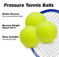 Balle de tennis pour entraînement et jeu d'élasticité avec logo personnalisé en gros d'usine Balle de cricket en caoutchouc promotionnelle