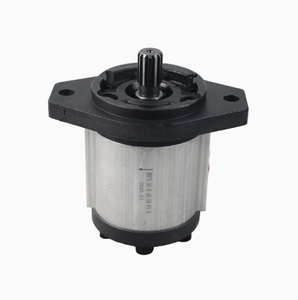 Bombas de Engranajes Hidráulicas Blince de Repuesto para la Serie NP1NN, Origen China, 0.6 kg - Product Image 1