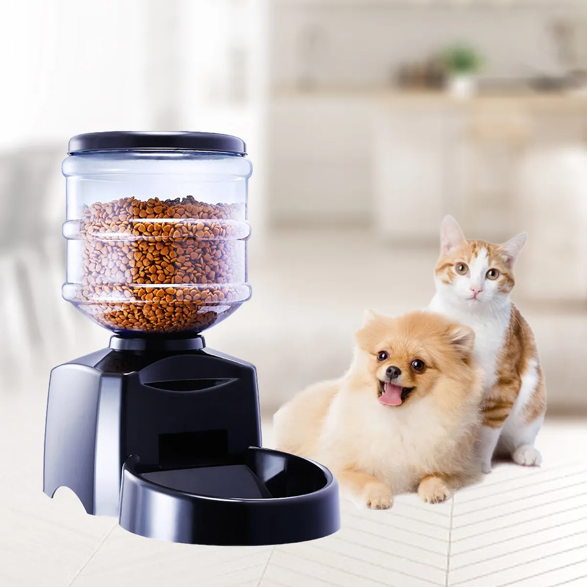 Cat Food Bowl by Manual Control Pet feeder with LCD Display and Voice Recording Automatic Pet Feeder Cat Food Dispense