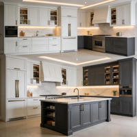 Armoire extérieure moderne minimaliste en PVC laqué sur mesure avec îlot intégré et appareils encastrés en acier inoxydable pour appartement