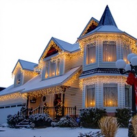 Guirlande lumineuse LED en forme de glaçon pour fenêtre, 5 m, LED, étanche, lumières de Noël