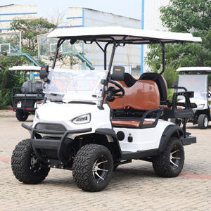 Carritos de Golf Profesionales Chinos de 2 Pasajeros y 4 Ruedas, Precios Económicos, Carrito Tipo Buggy en Venta, Carrito Pequeño para Golf - Product Image 1