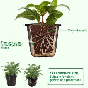 Vasi in Plastica Neri da 4 e 6 Pollici <span class=keywords><strong>per</strong></span> Semina e Fiori, Vendita all'Ingrosso <span class=keywords><strong>per</strong></span> Giardinaggio - Product Image 3