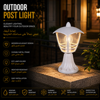 Lampadaire de jardin moderne pour extérieur avec diffuseur en acrylique transparent et cadre de protection décoratif