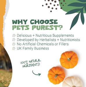 Polvo de calabaza deshidratado orgánico, ayuda digestiva para perros, suplemento <span class=keywords><strong>natural</strong></span> para perros, golosinas para mascotas para aliviar la diarrea y la salud intestinal - Product Image 3