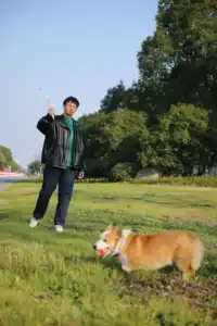 Lanzamiento interactivo de pelota de tenis para exteriores, palo desmontable, juguete para perros y Mascotas