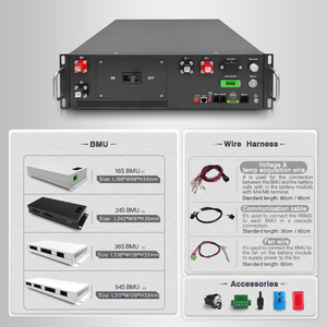 GCE Wholesale 180S 576V 100A ระบบจัดการแบตเตอรี่ลิเธียมแรงดันสูง BMS 280Ah 100AH แบตเตอรี่แบบแร็คสำหรับระบบกักเก็บพลังงานแสงอาทิตย์ - Product Image 4