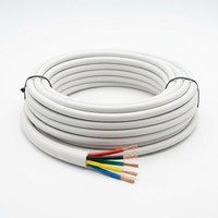 Câble de commande électrique flexible RVV 300V 6 AWG isolé en PVC cuivre pour équipement industriel et alimentation électrique