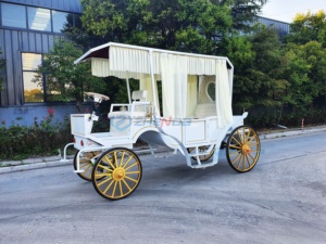Prix d'usine, vente en gros : Carrosse de princesse électrique sans chevaux, modèle Cendrillon, pour la visite touristique, à vendre - Product Image 4