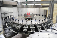 Ligne de production entièrement automatique haute productivité 15000bph machine de remplissage de bouteilles d'eau minérale pure potable saine