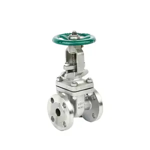 Kamroo Natural Gas Water Handwheel Stainless Steel Cast Iron/Ductile Iron Standard Water Non Rising Stem Nrs Gate Valve