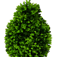 Haute Qualité 120cm 150cm En Plastique Faux Buis Arbre Artificiel Bonsaï Arbres pour La Maison Hall Jardin Décoration