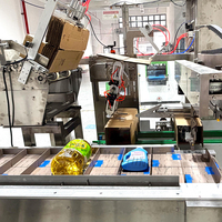 Machine d'emballage horizontale pour boîtes en carton plastique avec fonctions de remplissage et d'étiquetage pour ampoules LED, tubes de dentifrice, cosmétiques, aliments, à moteur