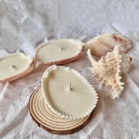 Bougies de luxe parfumées d'aromathérapie personnalisées avec coquillages, vente en gros