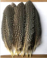 Plumes de volaille et de pintade naturelles teintées (jaune, vert, violet, rouge) de 15-20 cm pour la décoration – Vente en gros à prix abordable