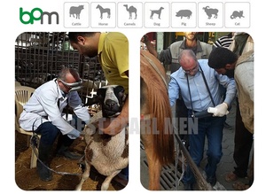 <span class=keywords><strong>Machine</strong></span> à ultrasons portative à prix compétitif Diverses spécifications - Product Image 2