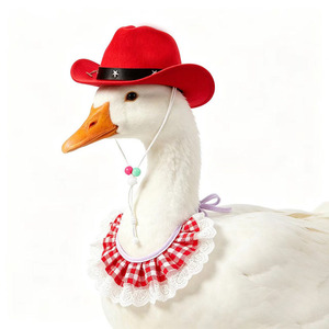 Yisi - Combo de Gorro y Babero de Vaquero Occidental para Mascotas, Pañuelo Universal para Perros y Gatos, para Todas las Estaciones, Diseño Sólido - Product Image 5