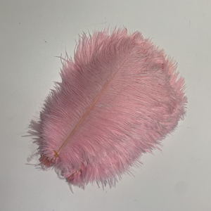 <span class=keywords><strong>Plumes</strong></span> <span class=keywords><strong>d</strong></span>'<span class=keywords><strong>autruche</strong></span> naturelles teintées en gros, 25-30 <span class=keywords><strong>cm</strong></span>, multicolores, pour carnaval, spectacle, <span class=keywords><strong>d</strong></span>écoration de mariage - Product Image 2
