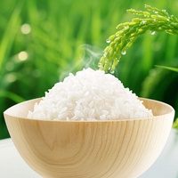 Riz instantané pratique à réchauffer au micro-ondes, petit-déjeuner et collation de minuit, parfum fleur de riz frais, 210g en boîte, durée de conservation 12 mois