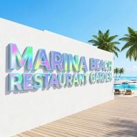Letrero de Canal de Acrílico 3D con LED RGB ZL, Color y Forma Personalizables, IP65 Impermeable, para Publicidad y Decoración de Automóviles