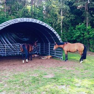 Carpa para Ovejas, Cobertizo para Animales con Cubierta de PVC, Establos, Carpa para Caballos, Cría de Ovejas en Zonas Montañosas - Product Image 2