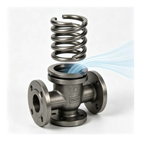 Ressort de soupape de pompe, Composant de pompe, Pièces de soupape de pompe industrielle, Diaphragme, Piston, Ensemble de décharge, Conduite de vapeur, Hydraulique