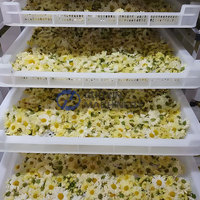 Professionele dehydrator voor cassave, mango, bananenchips en bloemen, garnalen, Chinese kruidenthee.