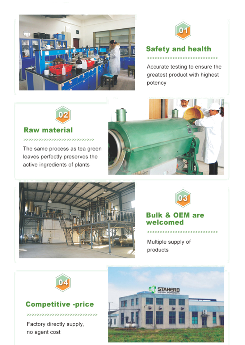 CAS:77-52-1 Rosemary Extract Ursolic acid powder