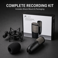 Microphone à condensateur à large diaphragme professionnel XUNGUAN P220 pour enregistrement vocal en studio, instruments et applications scéniques