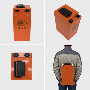Baterai LiFePO4 60V 50Ah yang Tahan Lama, BMS Terintegrasi, Penjualan Pabrik Terlaris untuk Penggantian EV Roda 2 & 3 - Product Image 6