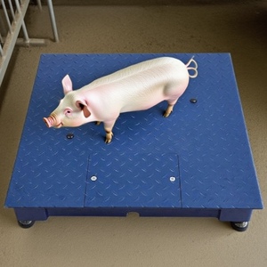 Nhà Máy Trực Tiếp Pd Công Nghiệp Duy Nhất Sàn Quy Mô Nền Tảng LED Điện Tử Quy Mô Sàn Chống Cháy Nổ Checkweighing 1-3T Công Suất - Product Image 4