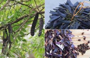 <b>Cone</b> <b>Incense</b> Natural Agarwood Powder Scented Aromatic Handmade Long Burning All Season Use - Product Image 5