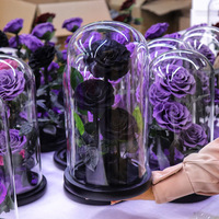 Rose éternelle préservée sous cloche en verre - Longue durée (3-5 ans) - Cadeau idéal pour la remise des diplômes, la Saint-Valentin, la fête des Mères, les anniversaires de mariage