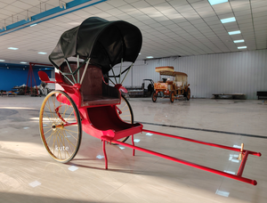 Véhicule de transport d'occasion à bas prix pour exportateurs, 2 places, type pédicab, rickshaw, rickshaw traditionnel à traction manuelle ou jinrikisha - Product Image 5