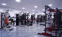 Station multifonction murale en gros d'usine Gym à domicile Musculation Équipement de fitness Barre de traction parallèle