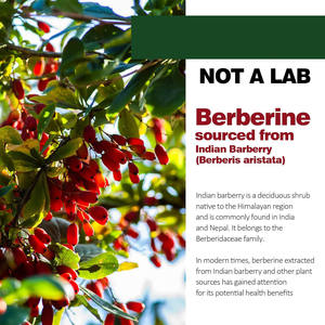 Berberina e Ceilão Canela Gummy Candy para Adultos Suporte do Sistema Imunológico Suplementos de Saúde e Sono - Product Image 4