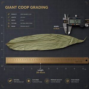 <span class=keywords><strong>Feuilles</strong></span> <span class=keywords><strong>de</strong></span> <span class=keywords><strong>bambou</strong></span> <span class=keywords><strong>séchées</strong></span> naturelles pour Zongzi - Qualité alimentaire et <span class=keywords><strong>feuilles</strong></span> <span class=keywords><strong>de</strong></span> <span class=keywords><strong>bambou</strong></span> professionnelles pour riz collant - Vente en gros - Product Image 2