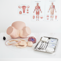 Simulador de Entrenamiento Obstétrico para Partos Difíciles, Modelo de PVC con Certificación CE ISO para Escuelas de Medicina y Obstetricia