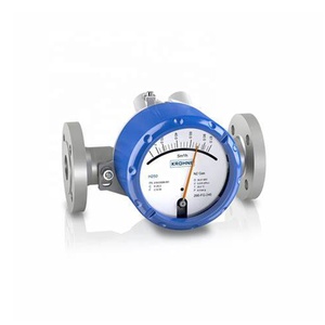Débitmètre à section variable H250 M40 de haute qualité pour gaz H250/RR/M40/ESK-EX - Product Image 3