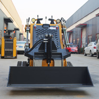Mini chargeuse sur chenilles diesel EPA sans frais de transport maritime, chargeuse sur chenilles, mini chargeuse de 500 kg, 400 kg