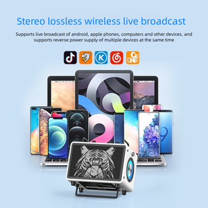 Loa Di Động Không Dây Có Micro, Âm Thanh HiFi, Hệ Thống Âm Thanh Chất Lượng Cao, Bộ Khuếch Đại Công Suất Cao, <span class=keywords><strong>Bluetooth</strong></span>, Đèn RGB - Product Image 3